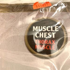 Costumes - Superman costume (small) with muscle chest π Costumes - Superman costume (small) with muscle chest π